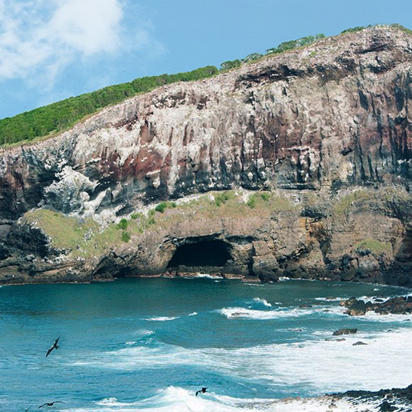 Parque Nacional Isla Isabel